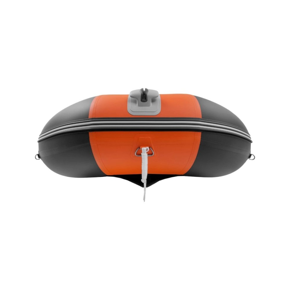 Лодка ПВХ GLADIATOR C420AL