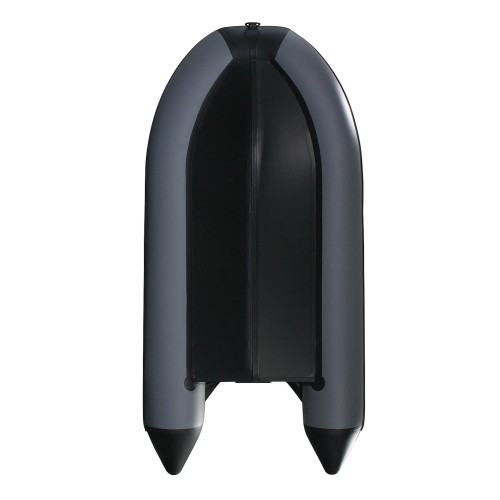 Лодка ПВХ PROFMARINE PM 350 CL