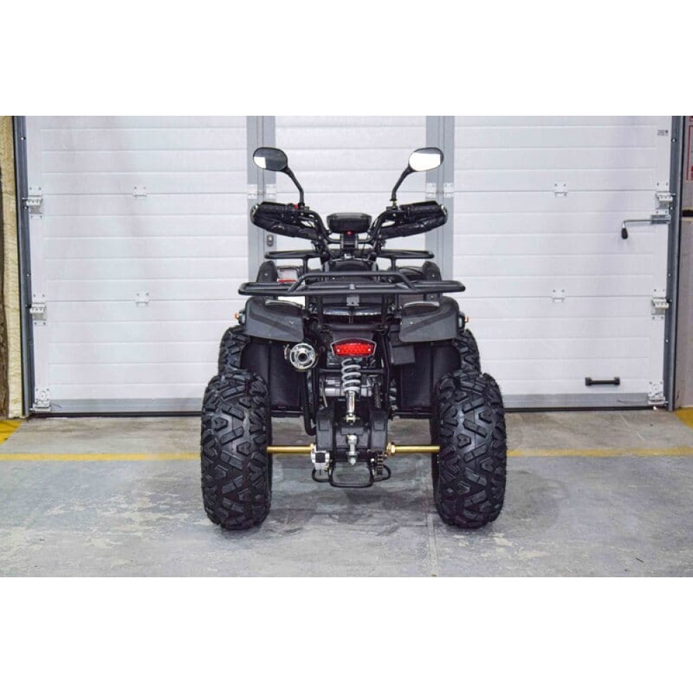 Квадроцикл GRIZZLY 200