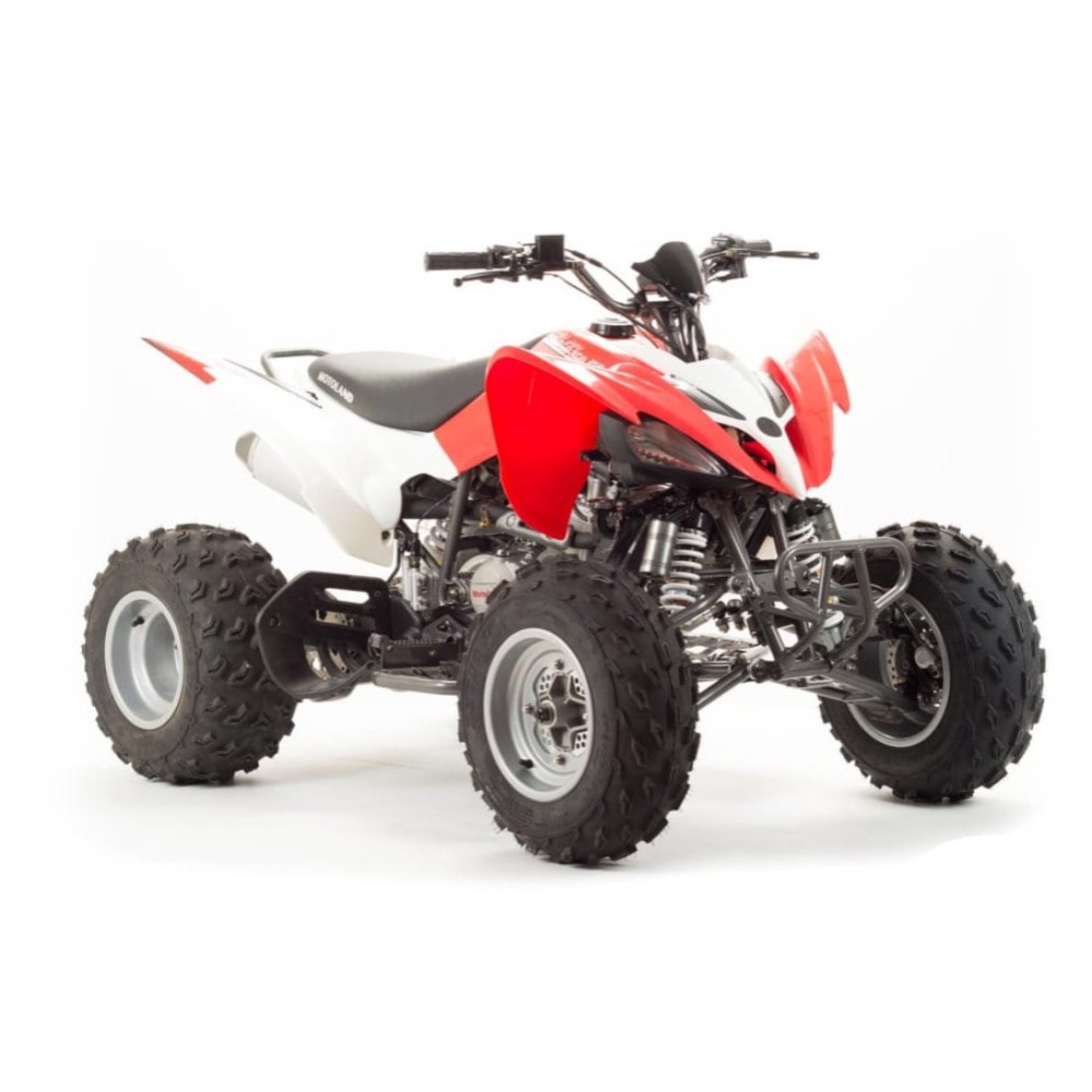 Квадроцикл MOTOLAND 125S (2020 Г.)