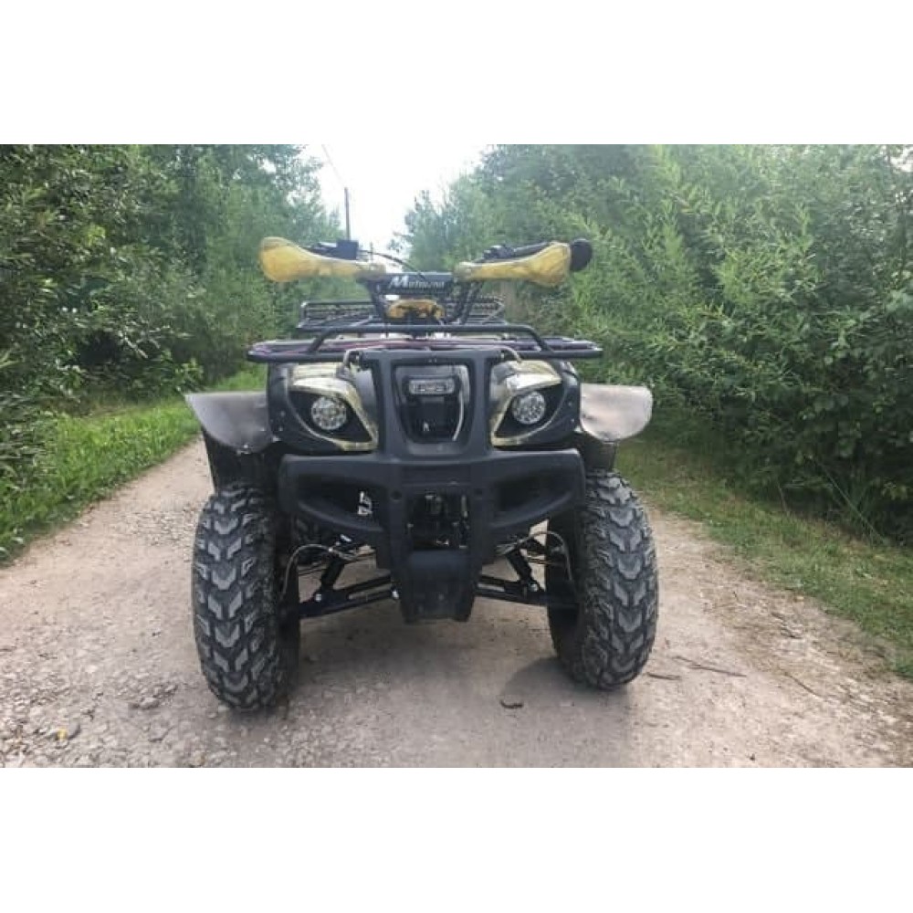 Квадроцикл MOTOLAND 250 Adventure (2021 Г.)