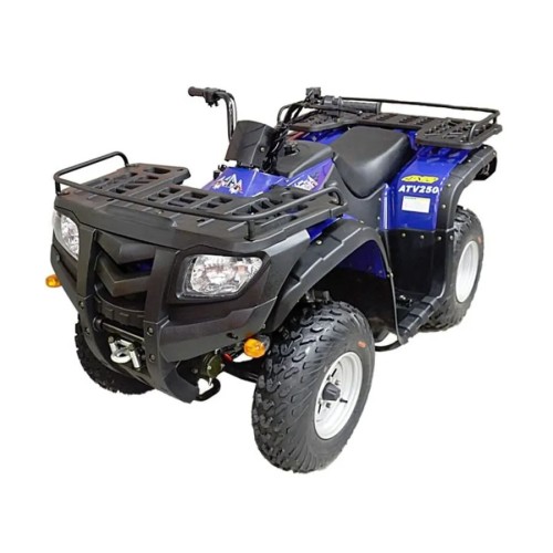Квадроцикл ARMADA ATV 250L