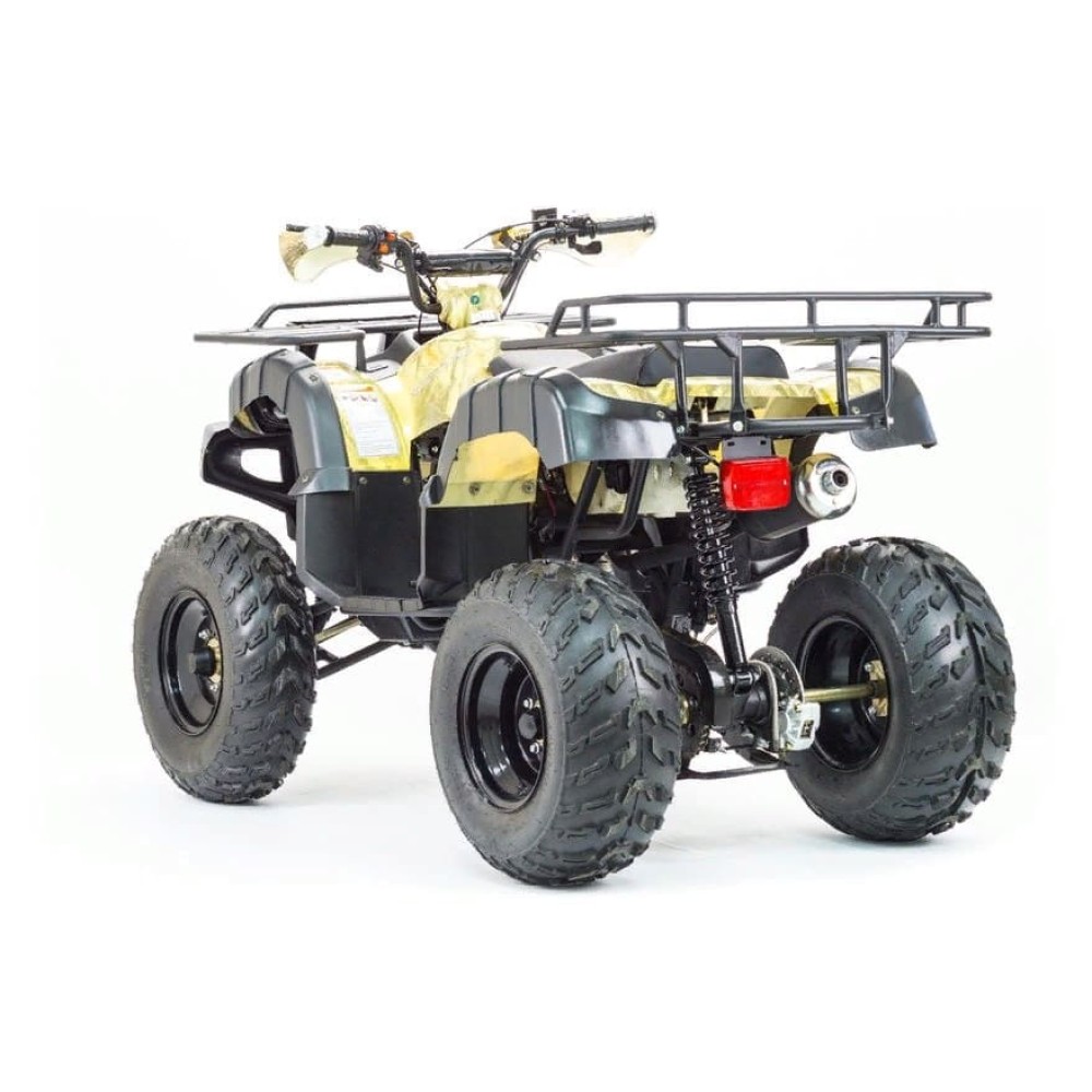 Квадроцикл MOTOLAND 250 Adventure (2021 Г.)