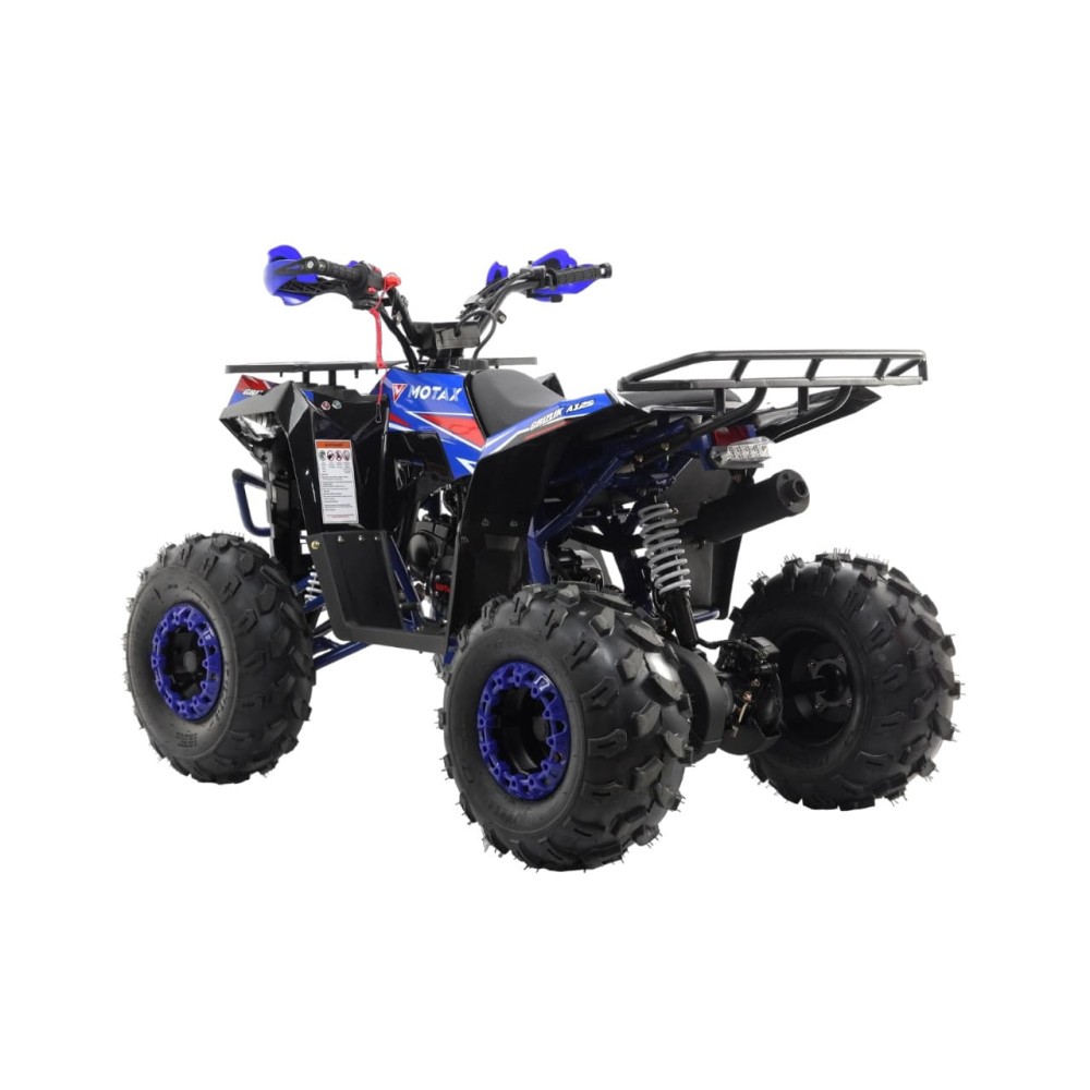 Квадроцикл MOTAX Grizlik A125