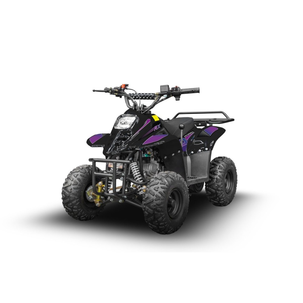 Квадроцикл RAPTOR 150 Universal