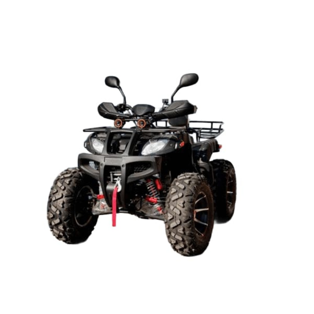 Квадроцикл GRIZZLY 250