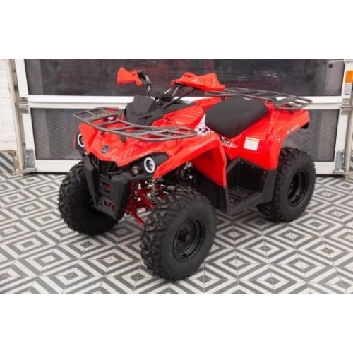 Квадроцикл MIKILON Hammer 200L Pro