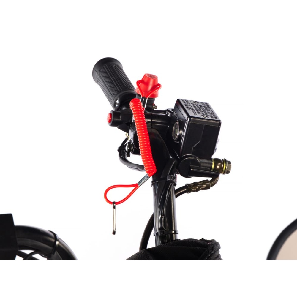 Снегоход SHARMAX Luxe SHP-680