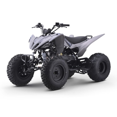 Квадроцикл SHARMAX Raizer Race Cup 250