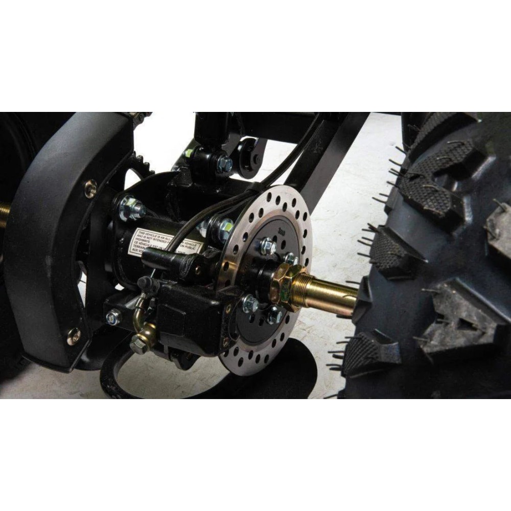 Квадроцикл MOTOLAND 125 RAPTOR