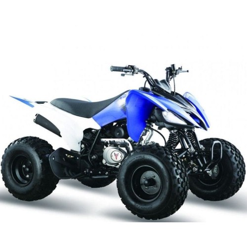 Квадроцикл МОТОМИР Pantera 125