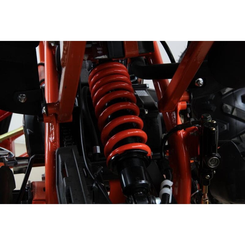 Квадроцикл MOTAX ATV T-Rex Super LUX 50 cc