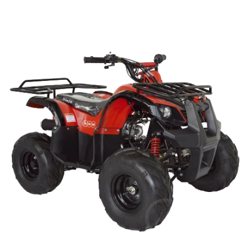 Квадроцикл ABM Ninja 110