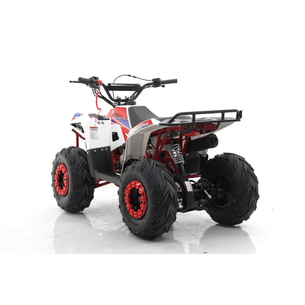 Квадроцикл MOTAX Grizlik A110