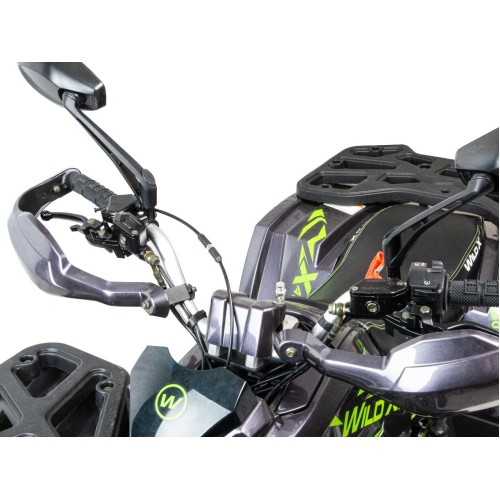 Квадроцикл MOTOLAND 125 Wild X Pro