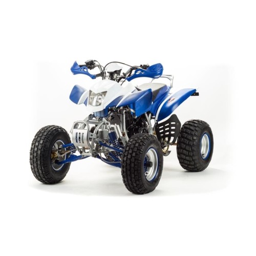 Квадроцикл MOTOLAND 250 Dakar