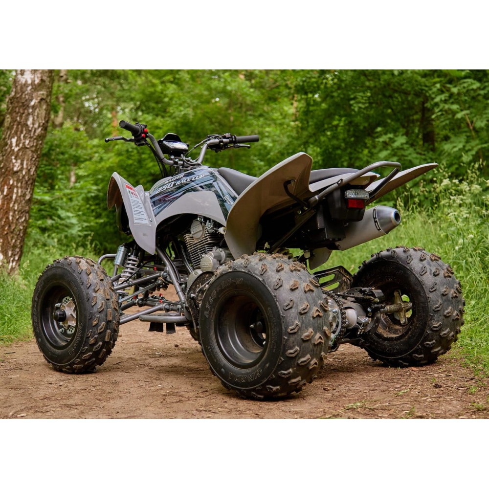 Квадроцикл SHARMAX Raizer Race Cup 250