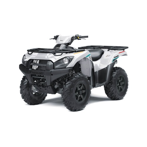 Квадроцикл KAWASAKI Brute Force 750 4x4i EPS (2023) (ПСМ)