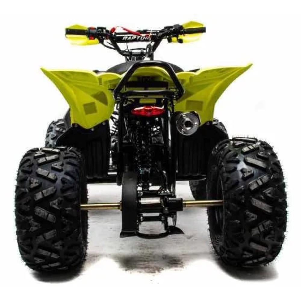 Квадроцикл MOTOLAND 125 RAPTOR