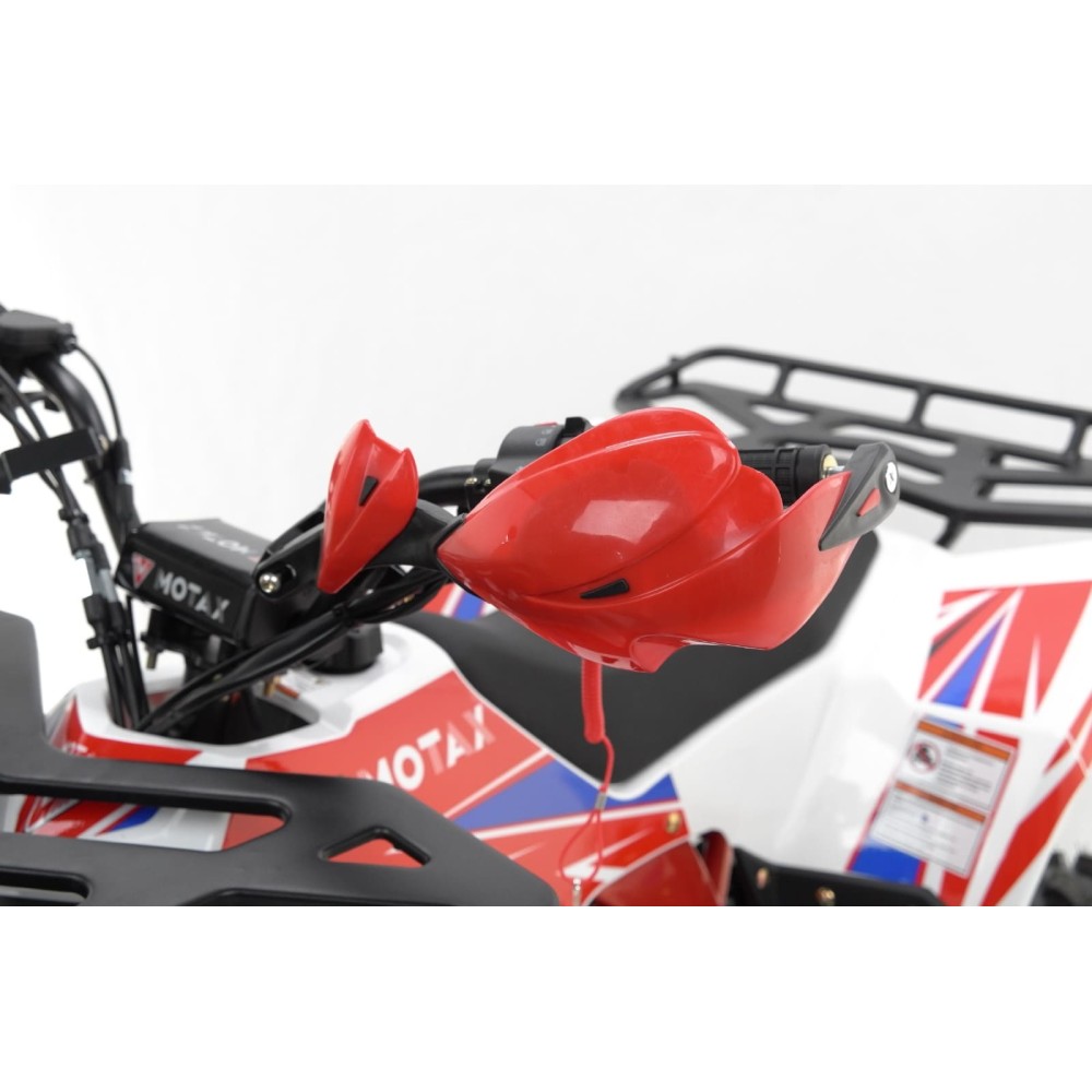 Квадроцикл MOTAX Grizlik A125