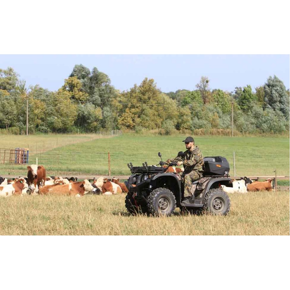 Квадроцикл BALTMOTORS Striker 700 EFI (ПСМ)