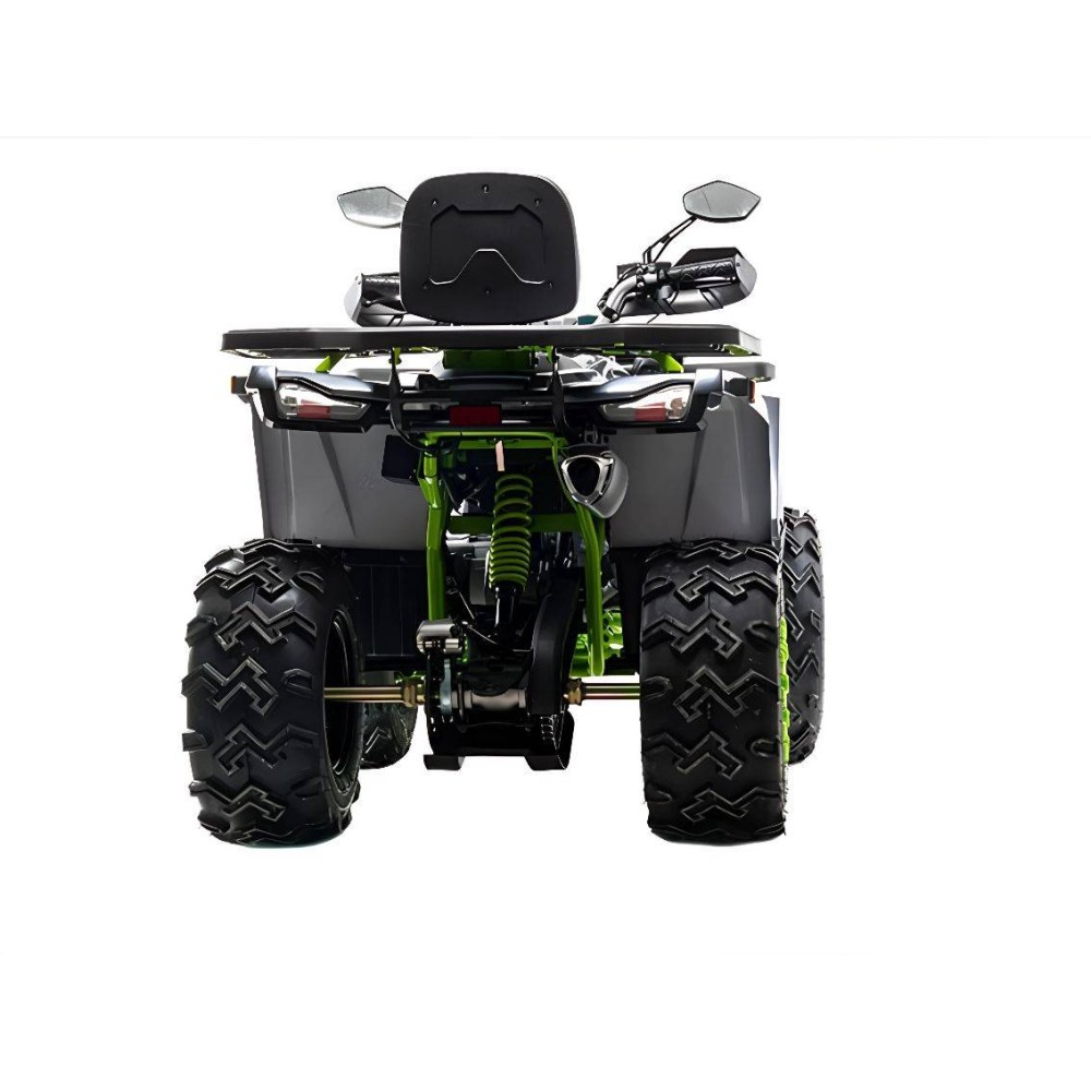 Квадроцикл MOTOLAND 200 Wild Track X Winch