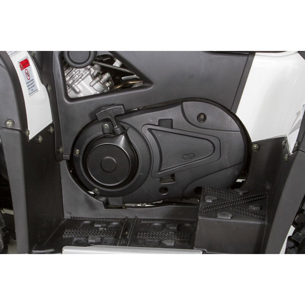 Квадроцикл BALTMOTORS Striker 500 EFI