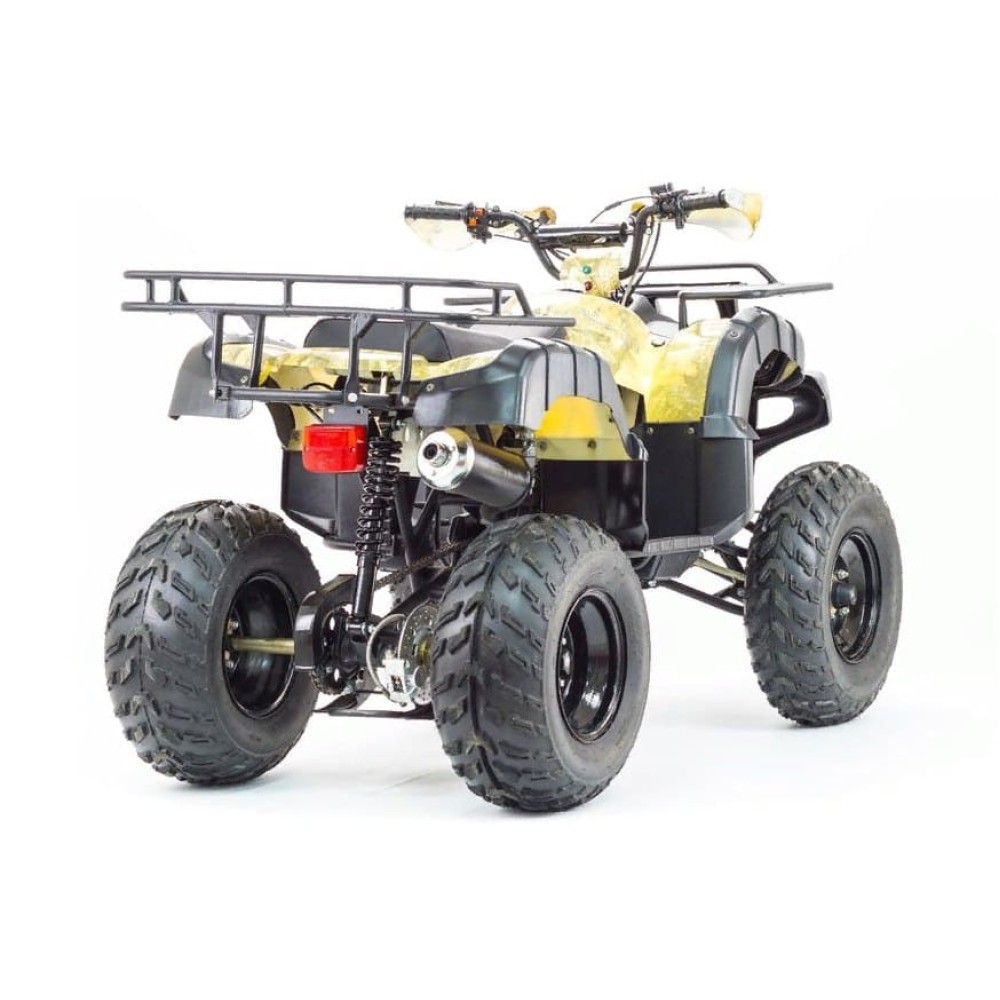 Квадроцикл MOTOLAND 250 Adventure (2021 Г.)