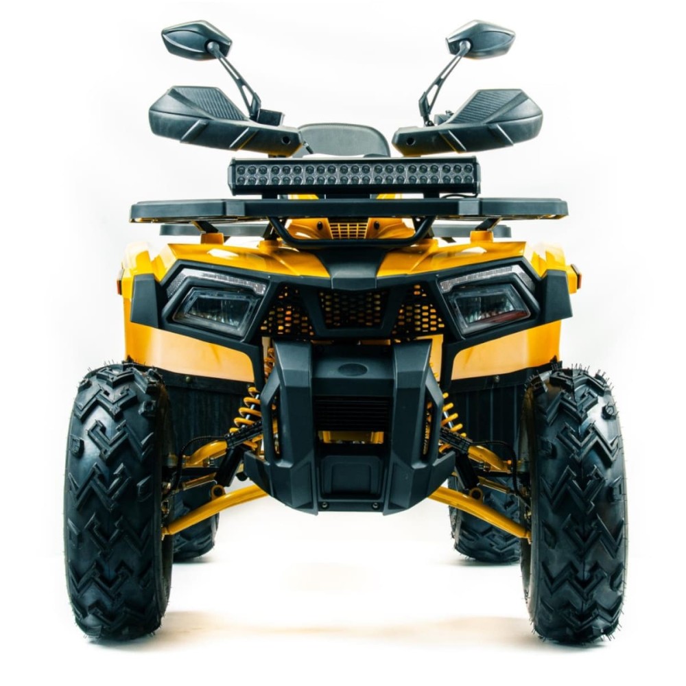 Квадроцикл MOTOLAND 200 Wild Track X Pro (Баланс. вал) (2021 Г.)