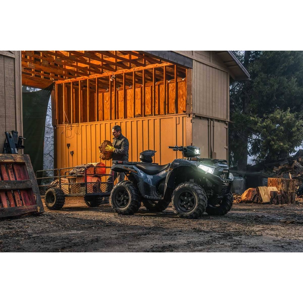 Квадроцикл KAWASAKI Brute Force 750 EPS (2024) (ПСМ)