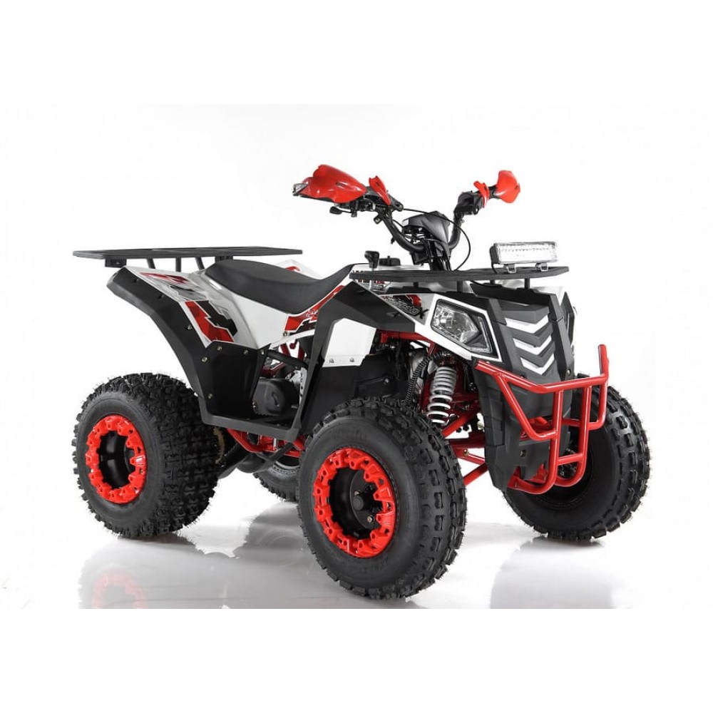 Квадроцикл WELS EVO X2