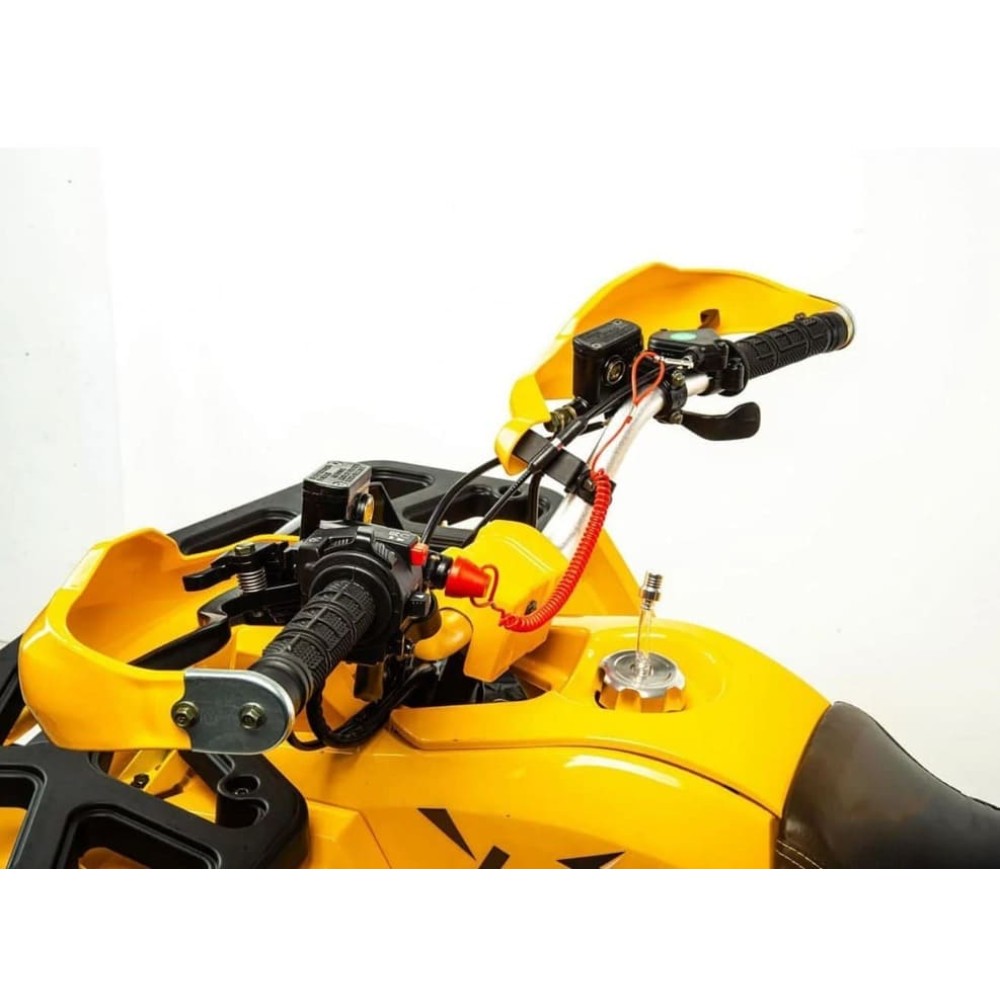 Квадроцикл MOTOLAND 125 Wild (2021 Г.)