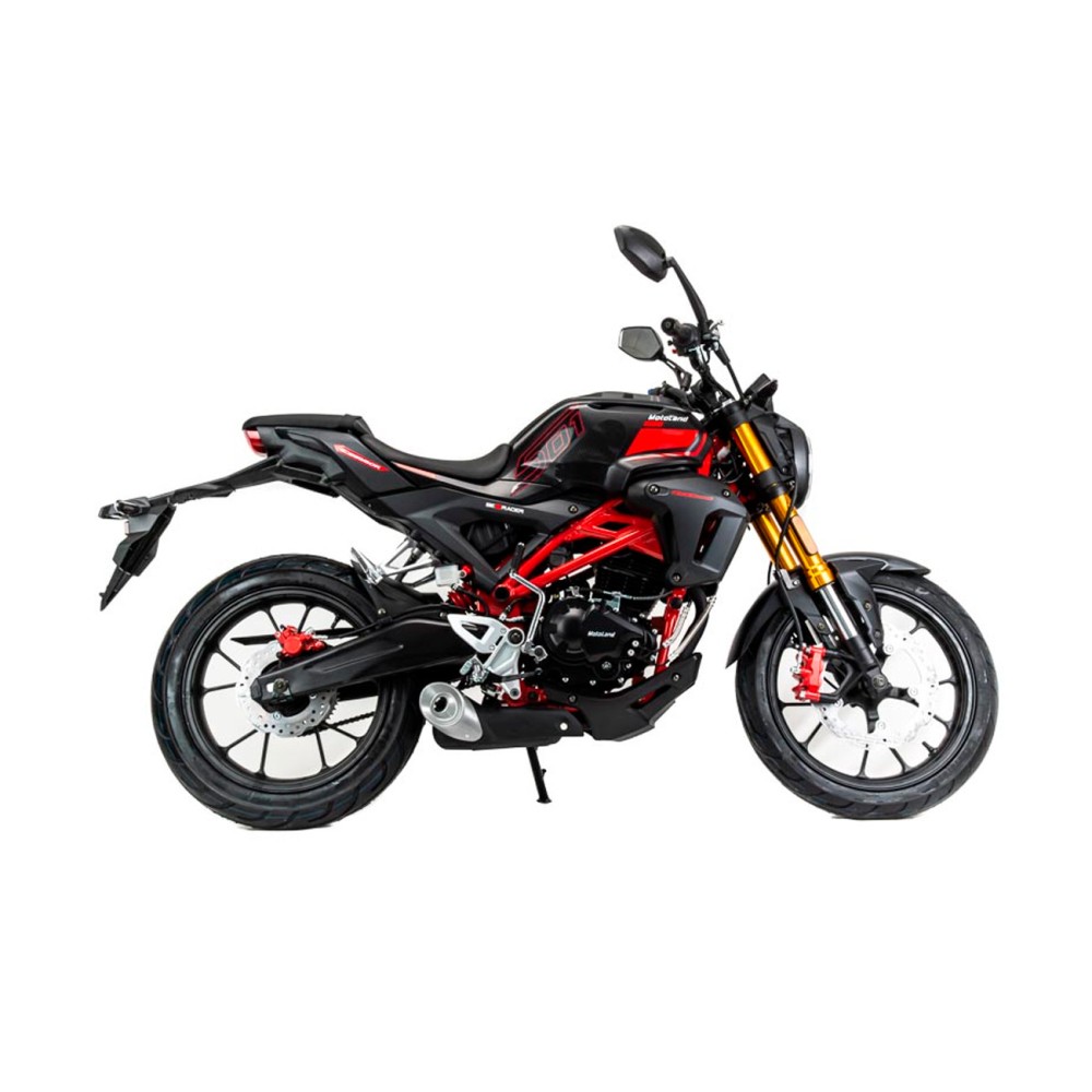 Мотоцикл MOTOLAND 501 (172FMM-5/PR250) ТУРЭНДУРО