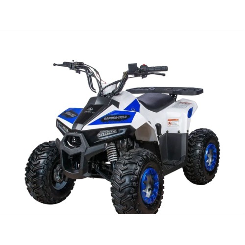 Квадроцикл YACOTA Raposa Pro Sport