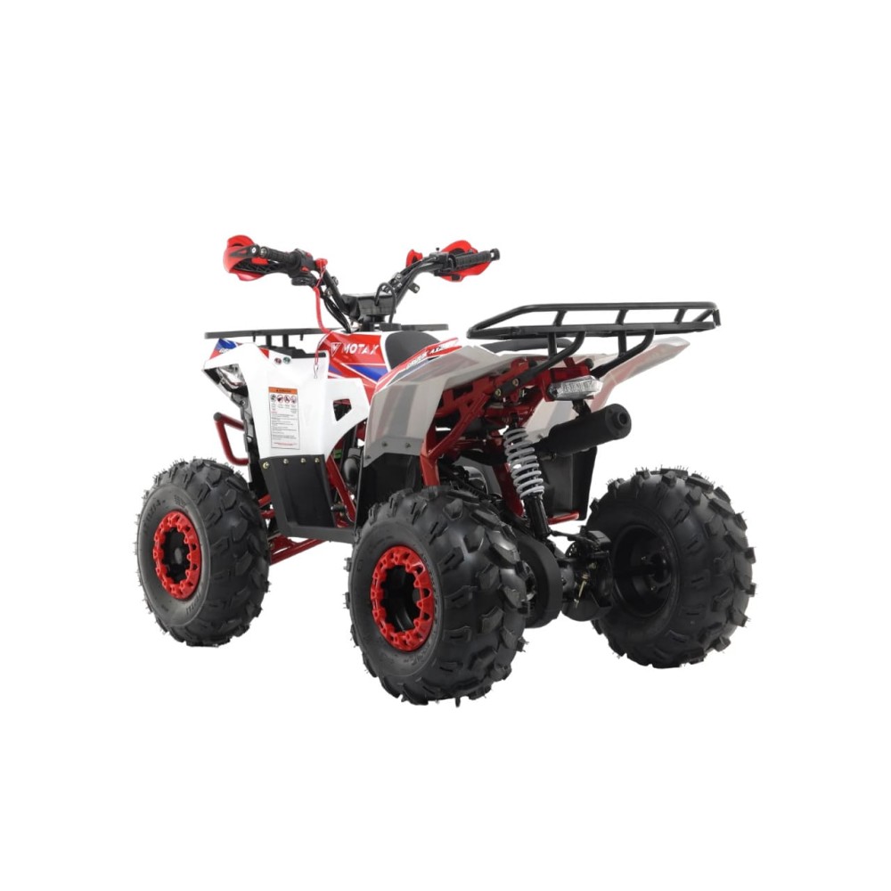 Квадроцикл MOTAX Grizlik A125