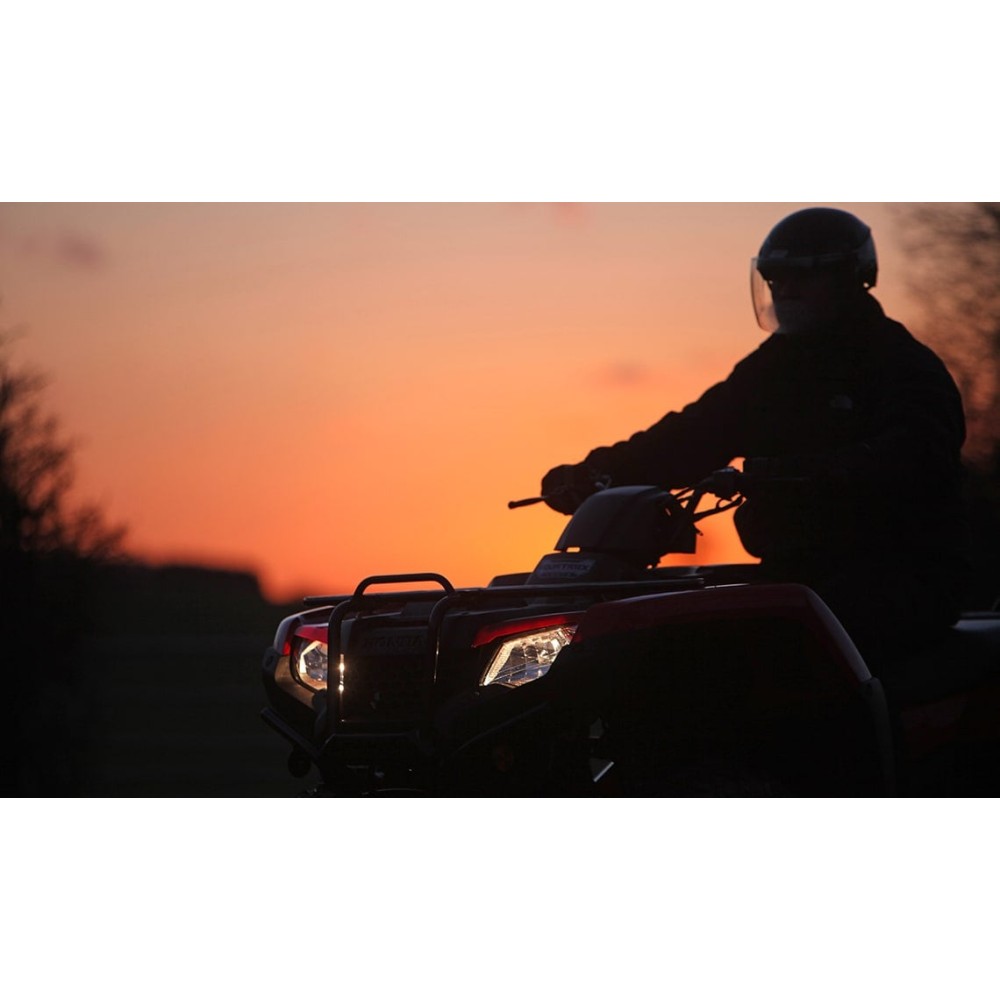 Квадроцикл HONDA TRX420