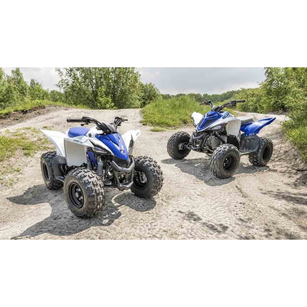 Квадроцикл YAMAHA YFM90R (Raptor 90)