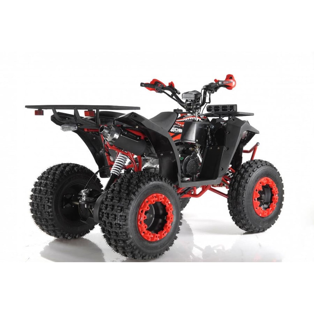 Квадроцикл WELS EVO X2