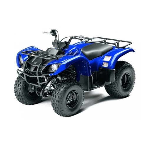 Квадроцикл GRIZZLY 125