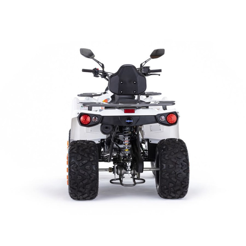 Квадроцикл MOTAX ATV Grizlik 200 Ultra