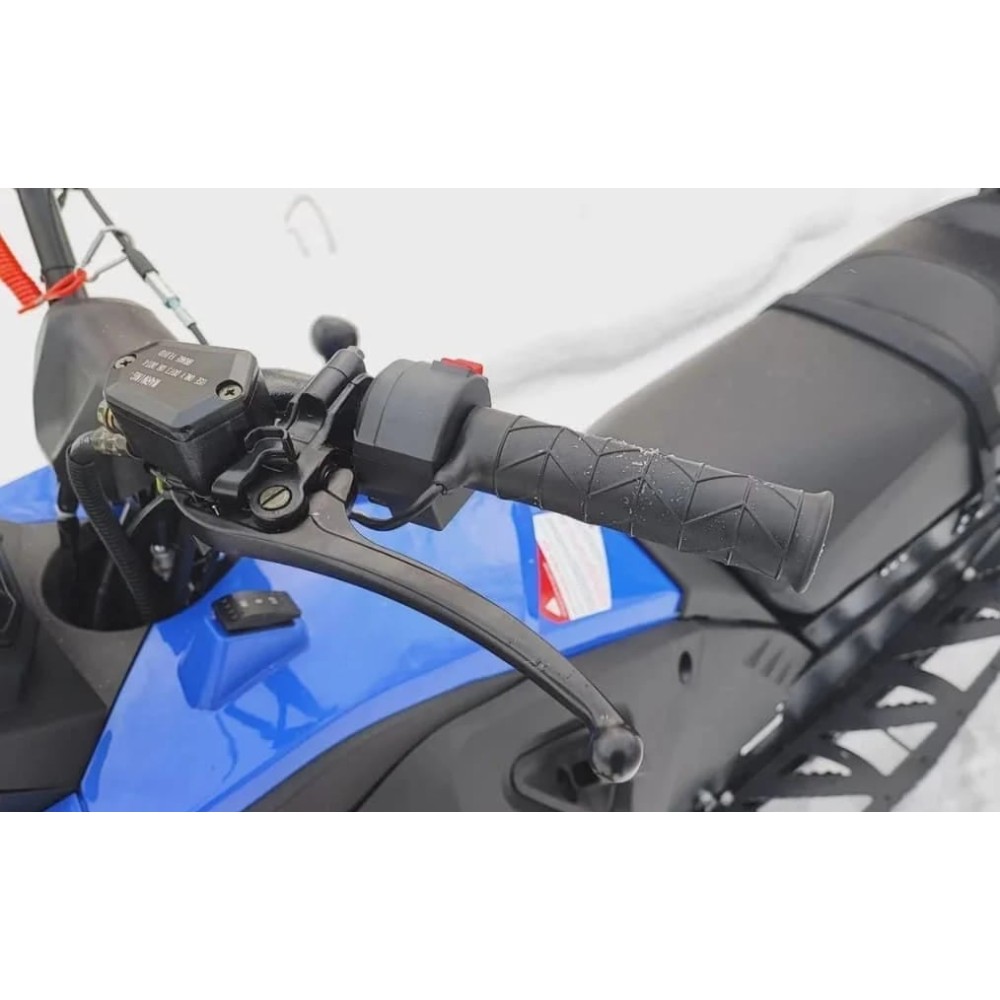 Снегоход WOIDEAL WD 300