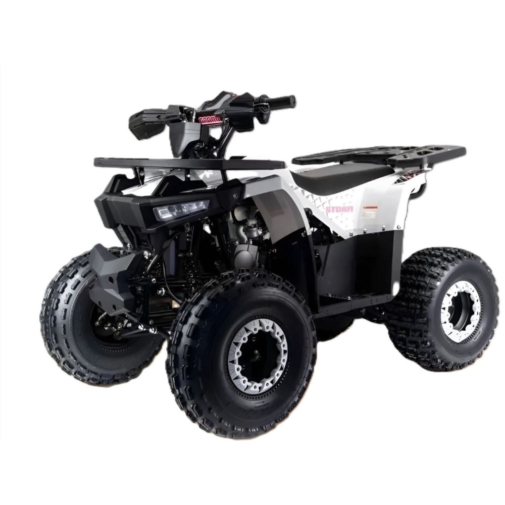 Квадроцикл MOTOLAND Storm A 125