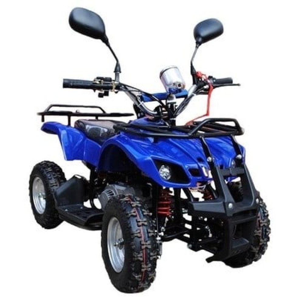 Квадроцикл RAPTOR MAX PRO 49cc (2024)