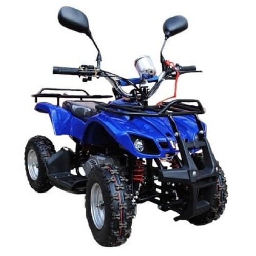 Квадроцикл RAPTOR MAX PRO 49cc (2024)