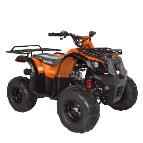 Квадроцикл ABM Ninja 110
