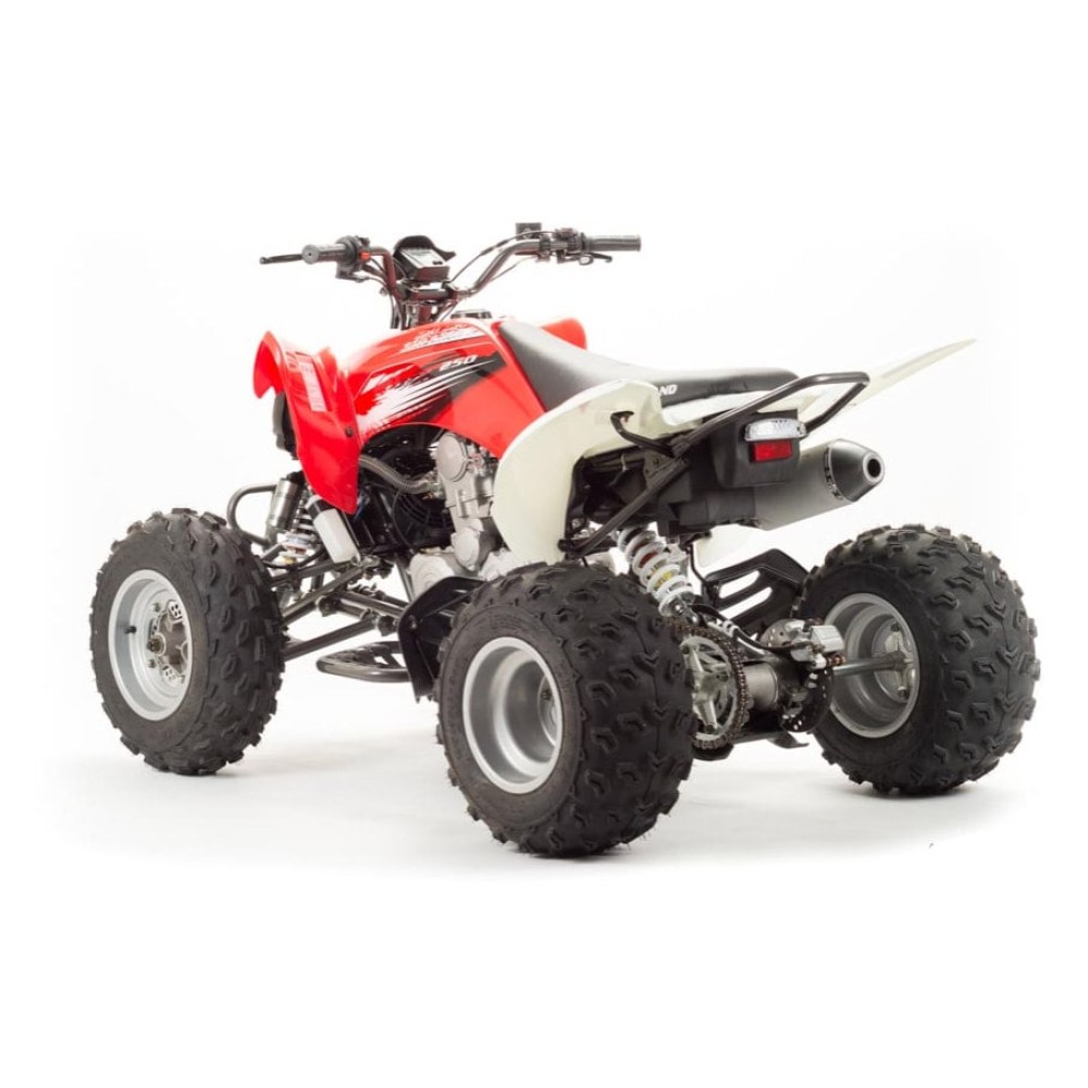 Квадроцикл MOTOLAND 125S (2020 Г.)