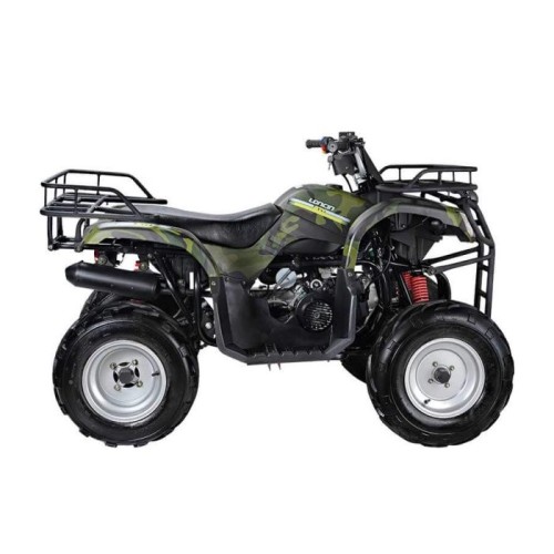 Квадроцикл WELS Purga 170