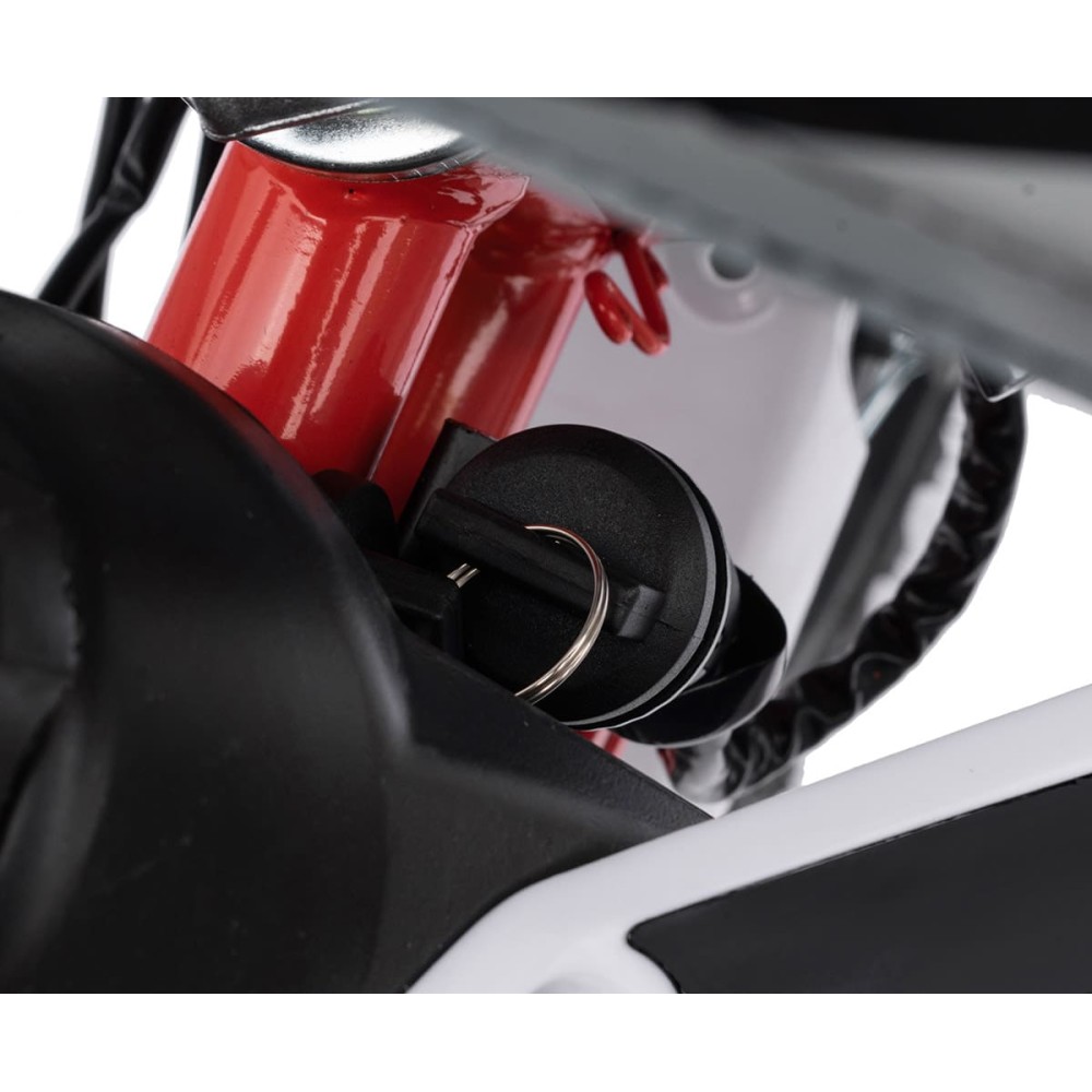 Мотоцикл REGULMOTO Pilot EA 12/10 PITBIKE