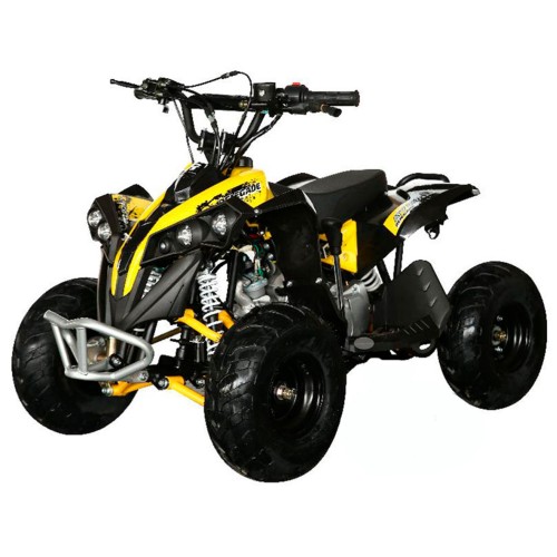 Электроквадроцикл MOTAX ATV CAT 1000W