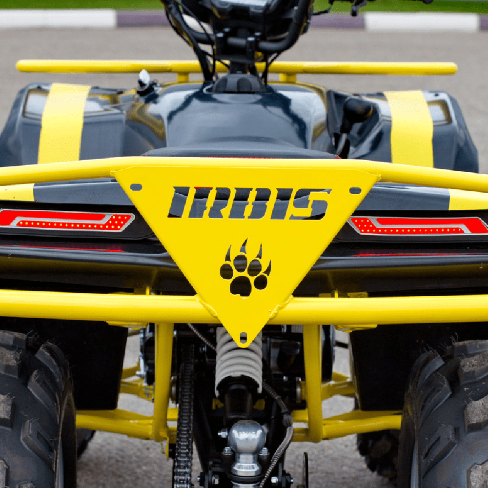 Квадроцикл IRBIS ATV 125